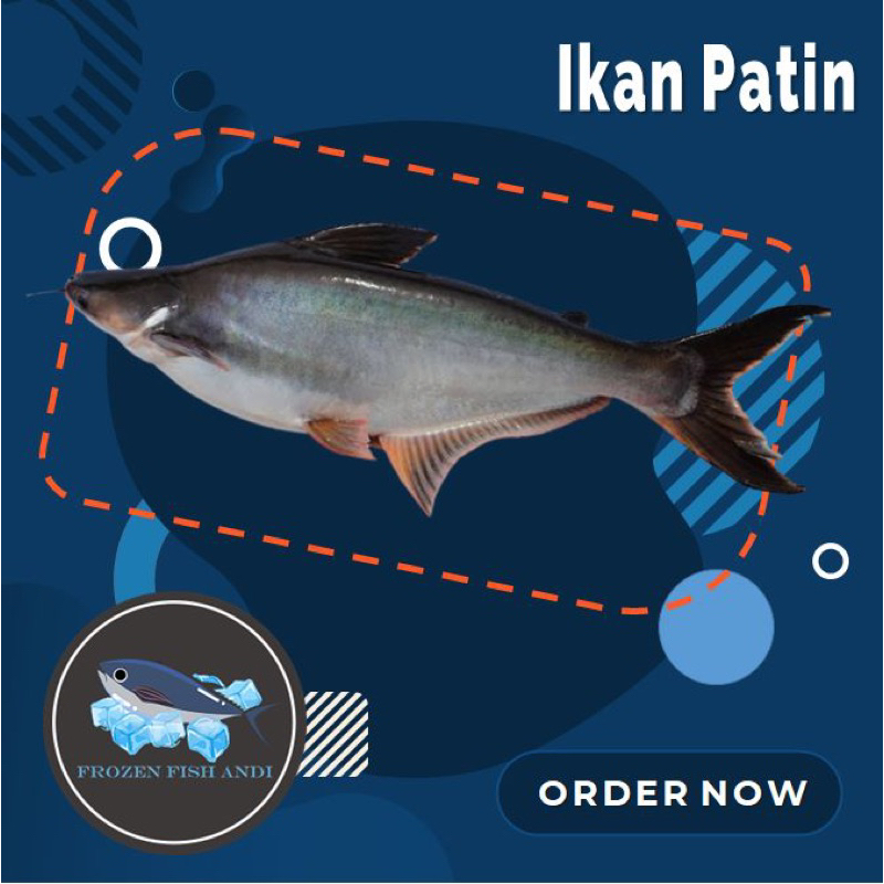 

ikan fatin patin dori tawar segar beku