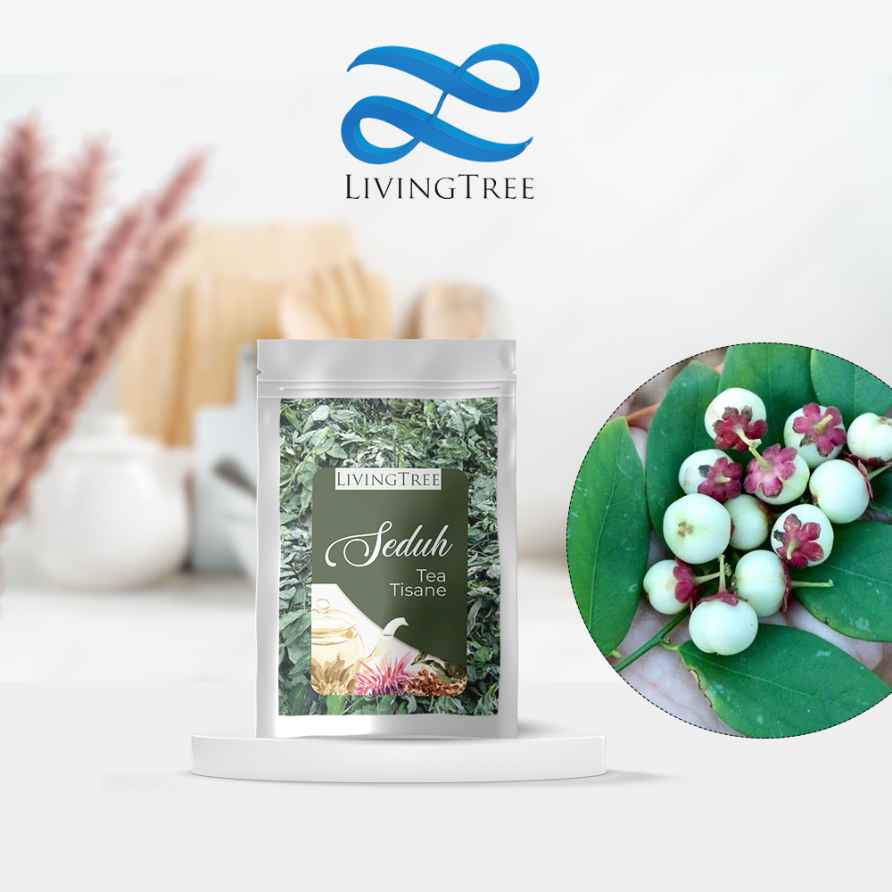 Teh Daun Katuk 10gr Katuk Leaf Tea / Teh Pelancar ASI