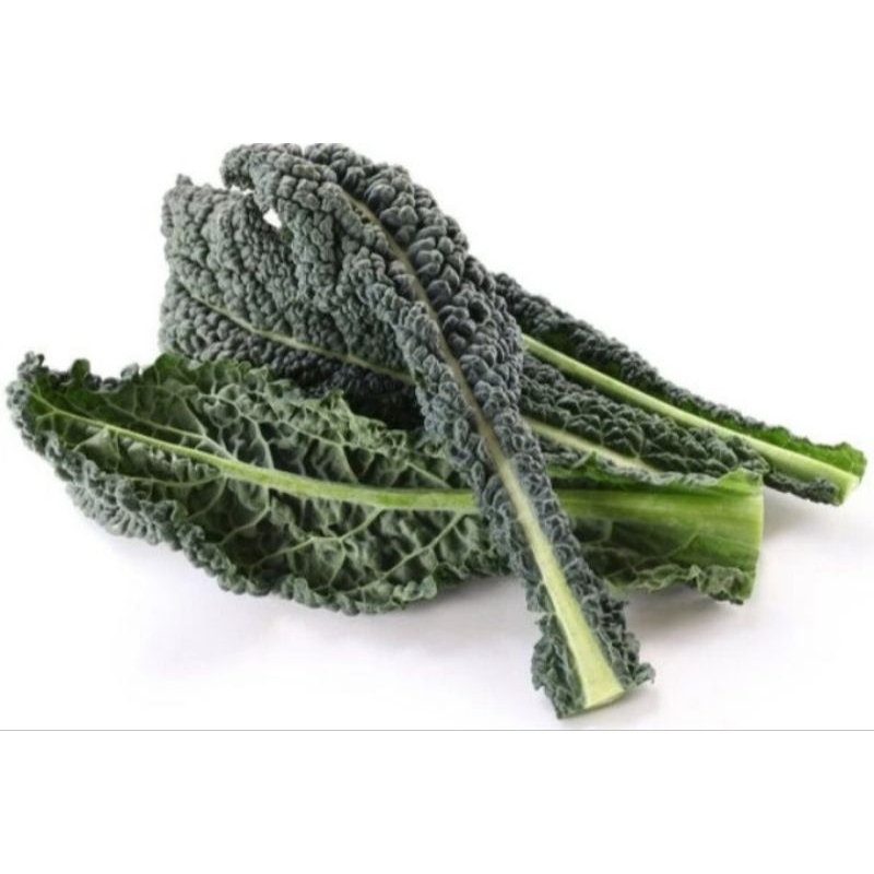 

Kale Toscana Organik 100gr