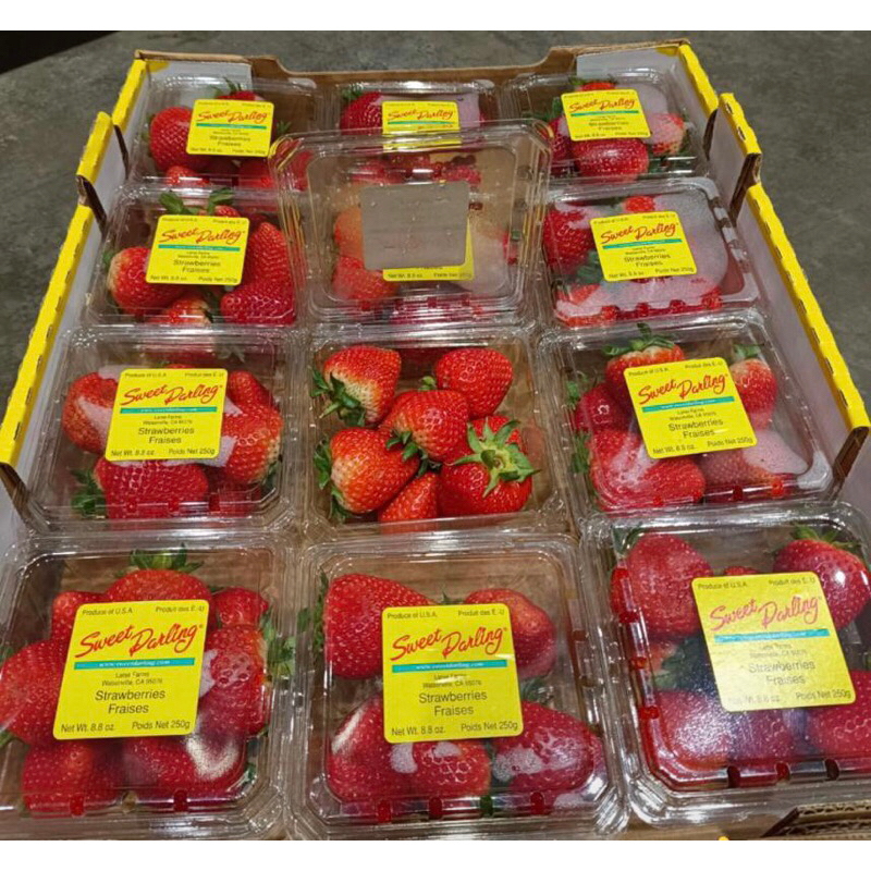 Strawberry Sweet Darling USA / Pack (250 Gr x 12 pack)