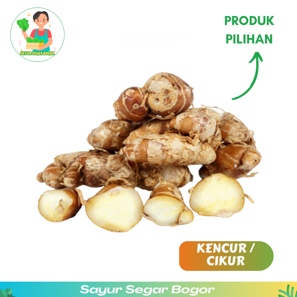 

Kencur Cikur Bumbu Dapur Bumbu Masak 100gr