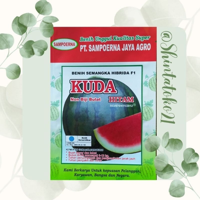TERMURAH Benih semangka non biji bulat KUDA HITAM *isi 300 biji*