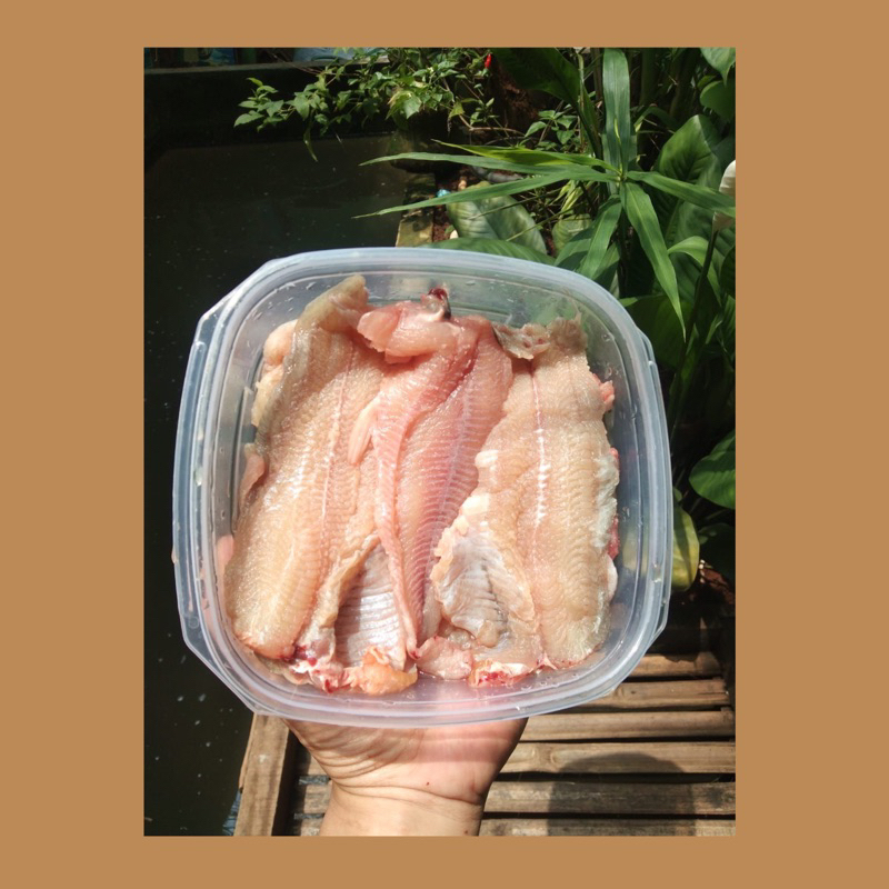 

Lele fillet frozen / lele fillet 500g