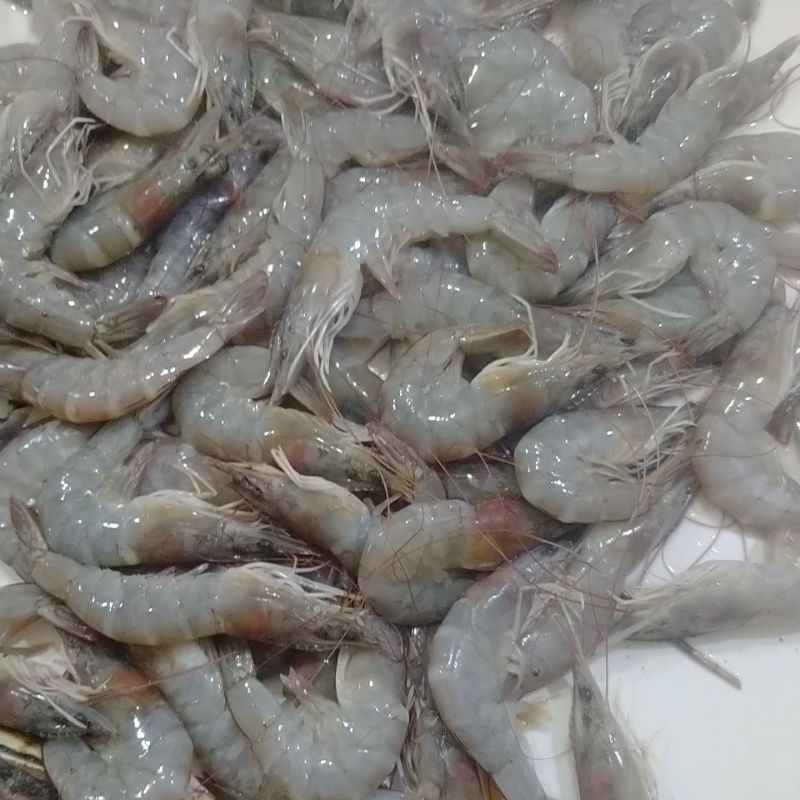 

udang segar size sedang 300gram