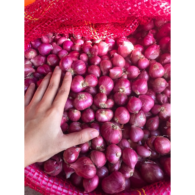 

Bawang merah super 500gr