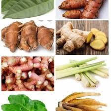 

Paket Empon Bumbu Dapur Super Lengkap