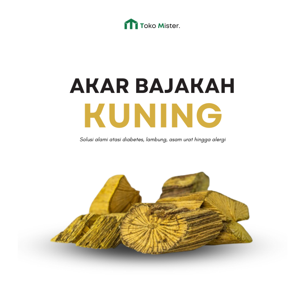 Akar Bajakah Kuning Kayu Bajakah Kuning Obat Diabetes Lambung Asam Urat