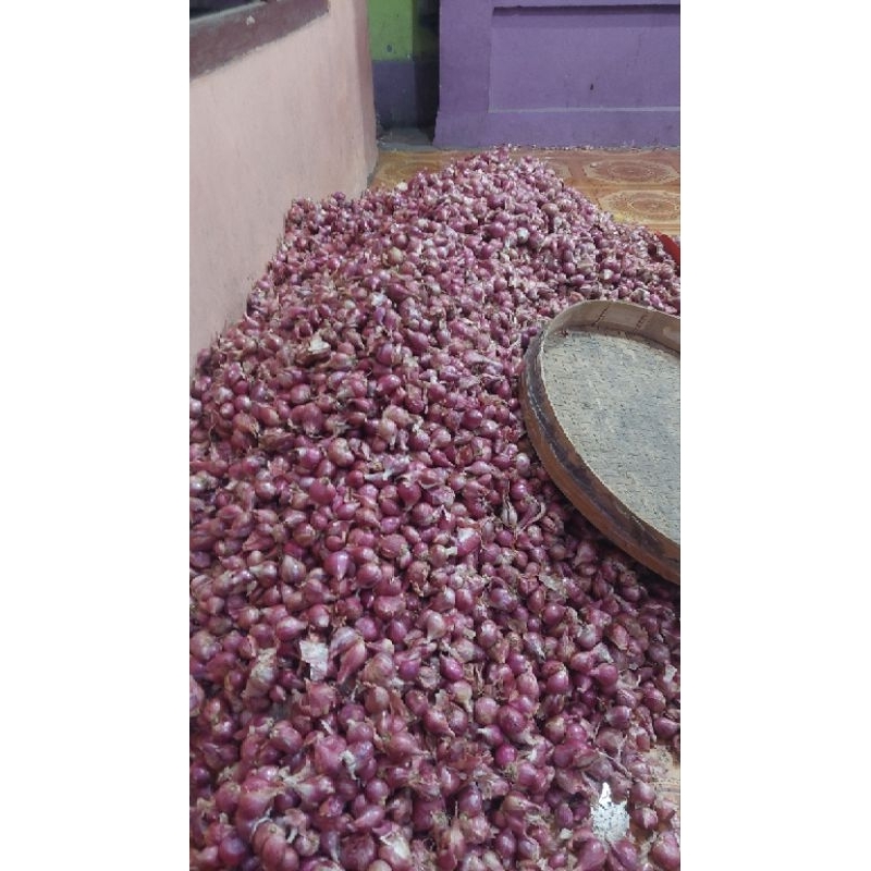 

bawang merah nganjuk