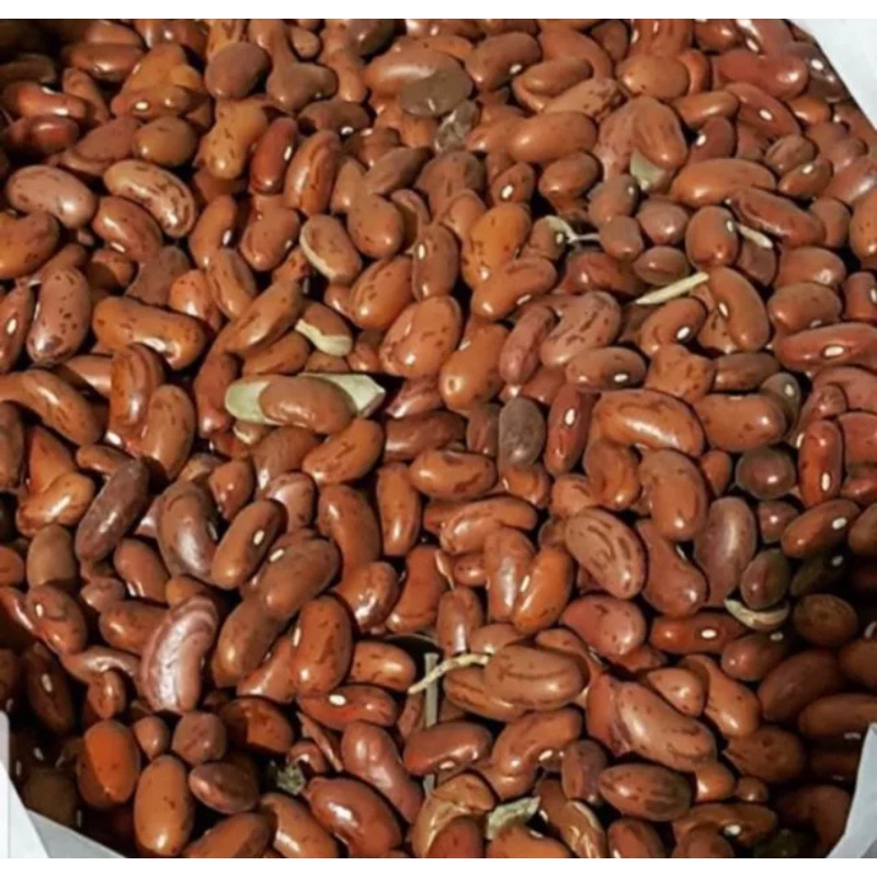 

Kacang Merah 1KG