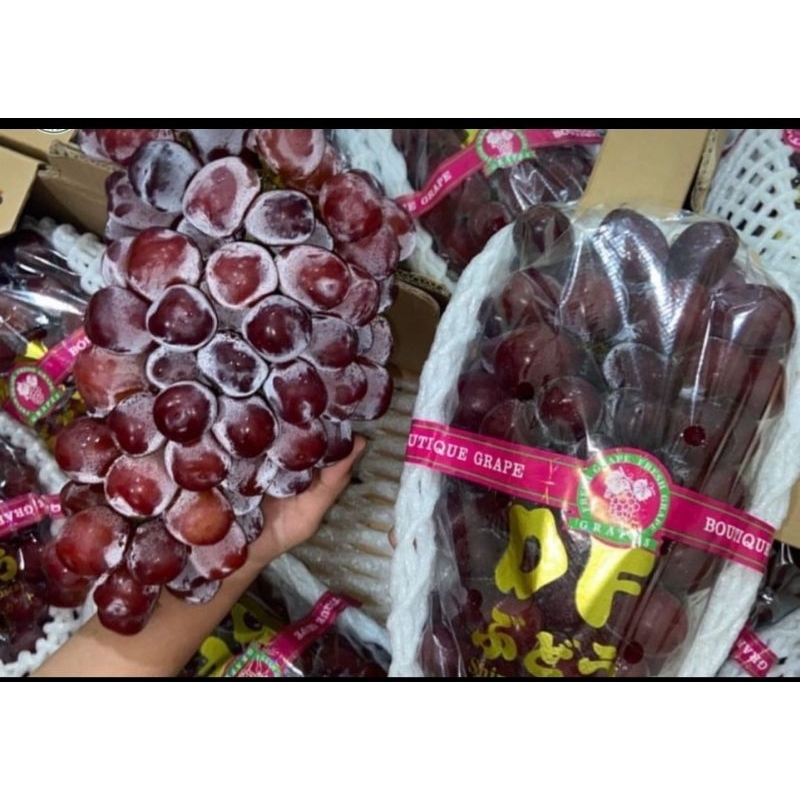 

Anggur shine muscat merah 1,1 kg