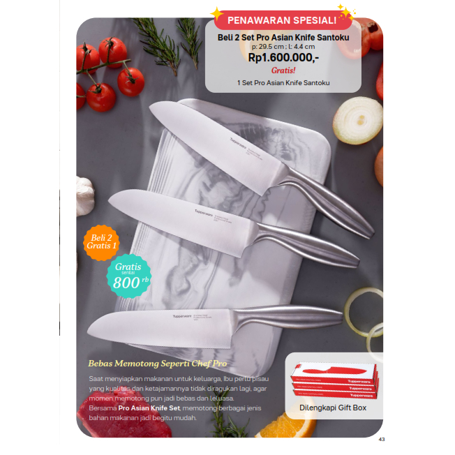 Tupperware Asian Knife Santoku ECER 1pcs Promo Agustus 2023