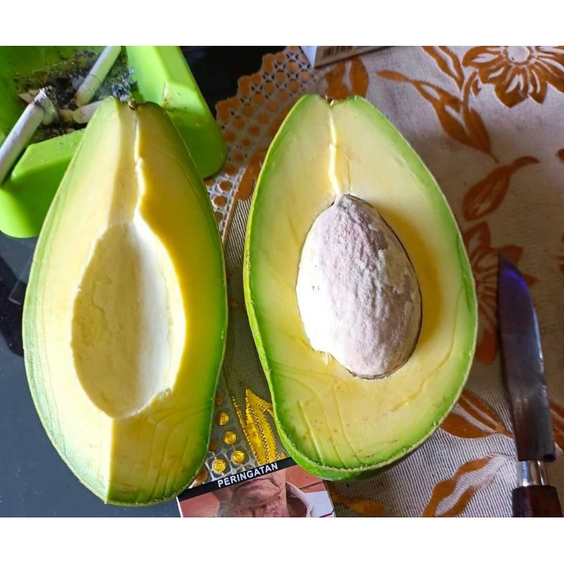 

alpukat mentega lampung