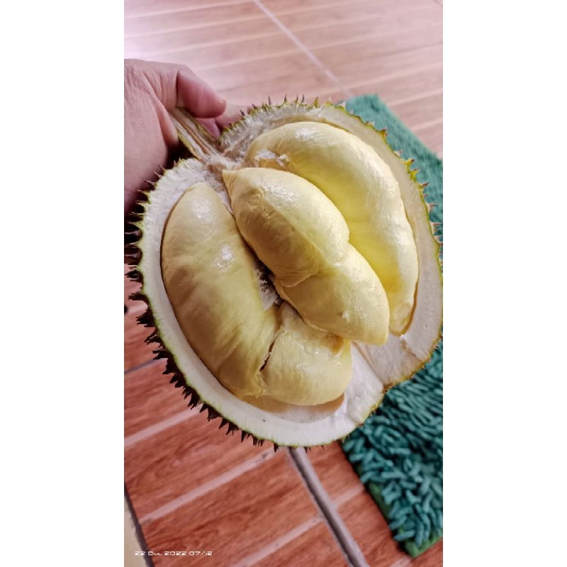 

Durian