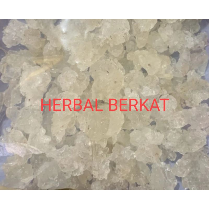 

Snow Bird Nest premium 50gram/ xue yan