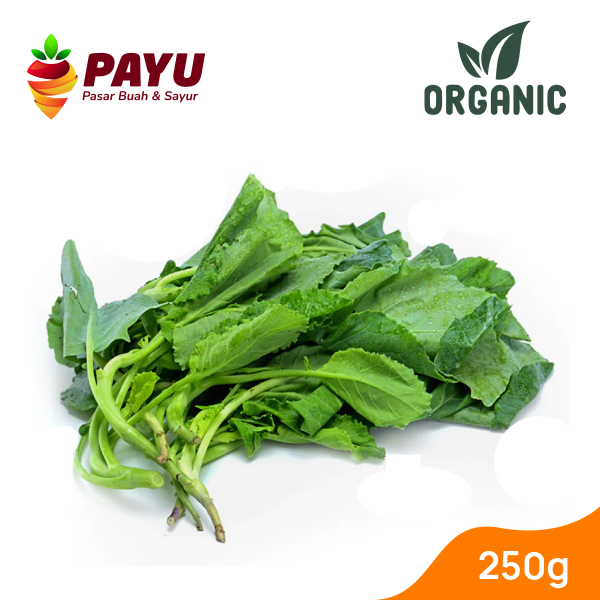 

Kailan Organik Fresh [500g]