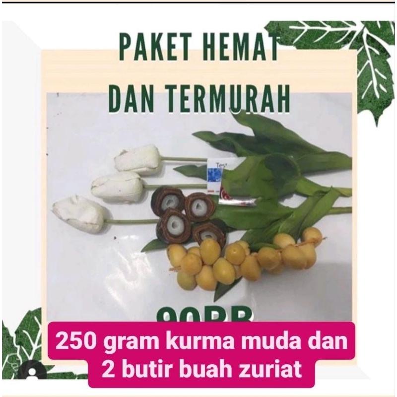 

PAKET 250 gram Kurma Muda dan 2 Butir Buah Zuriat FREE TESTPACK