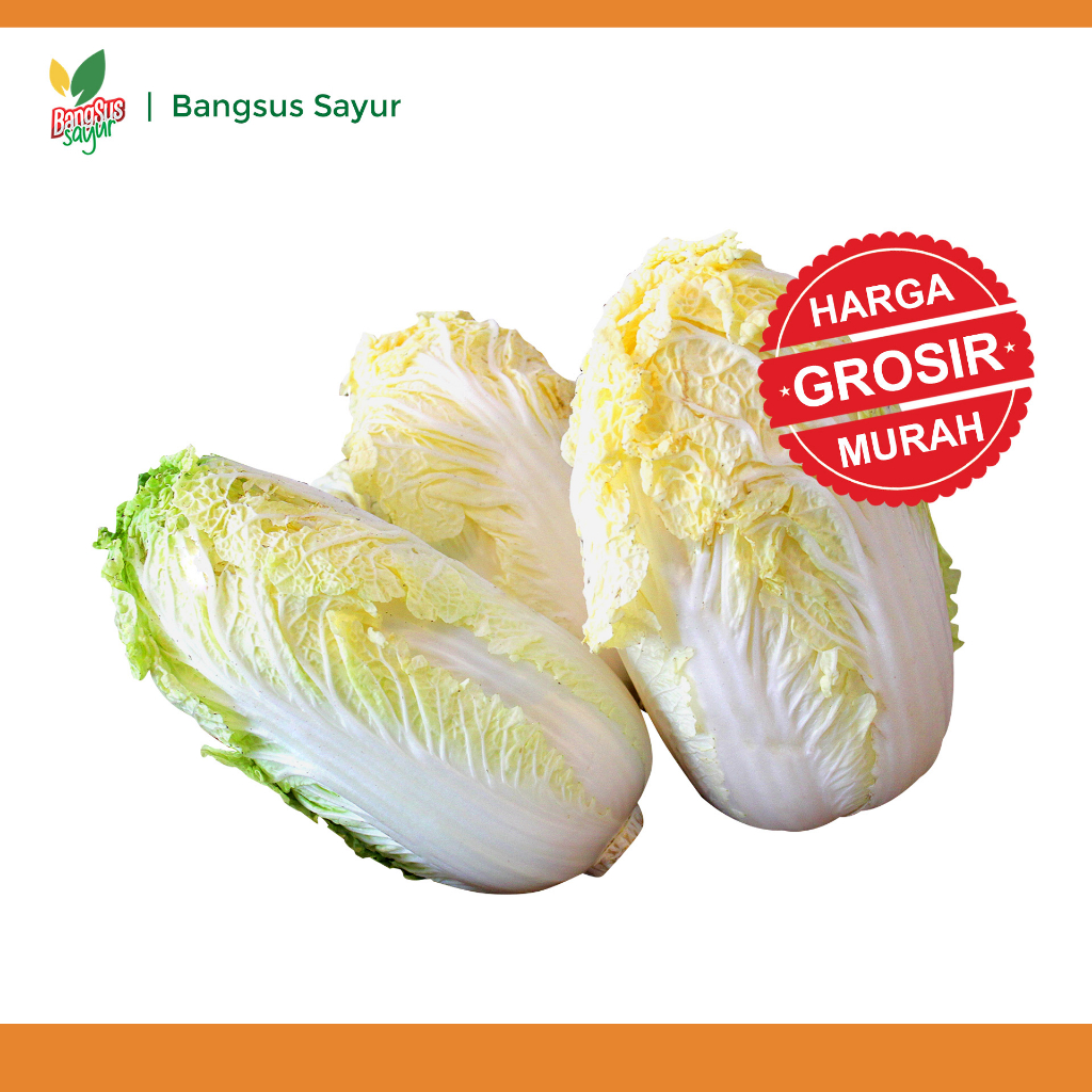 

Sawi Putih 5Kg Grosir Segar Murah