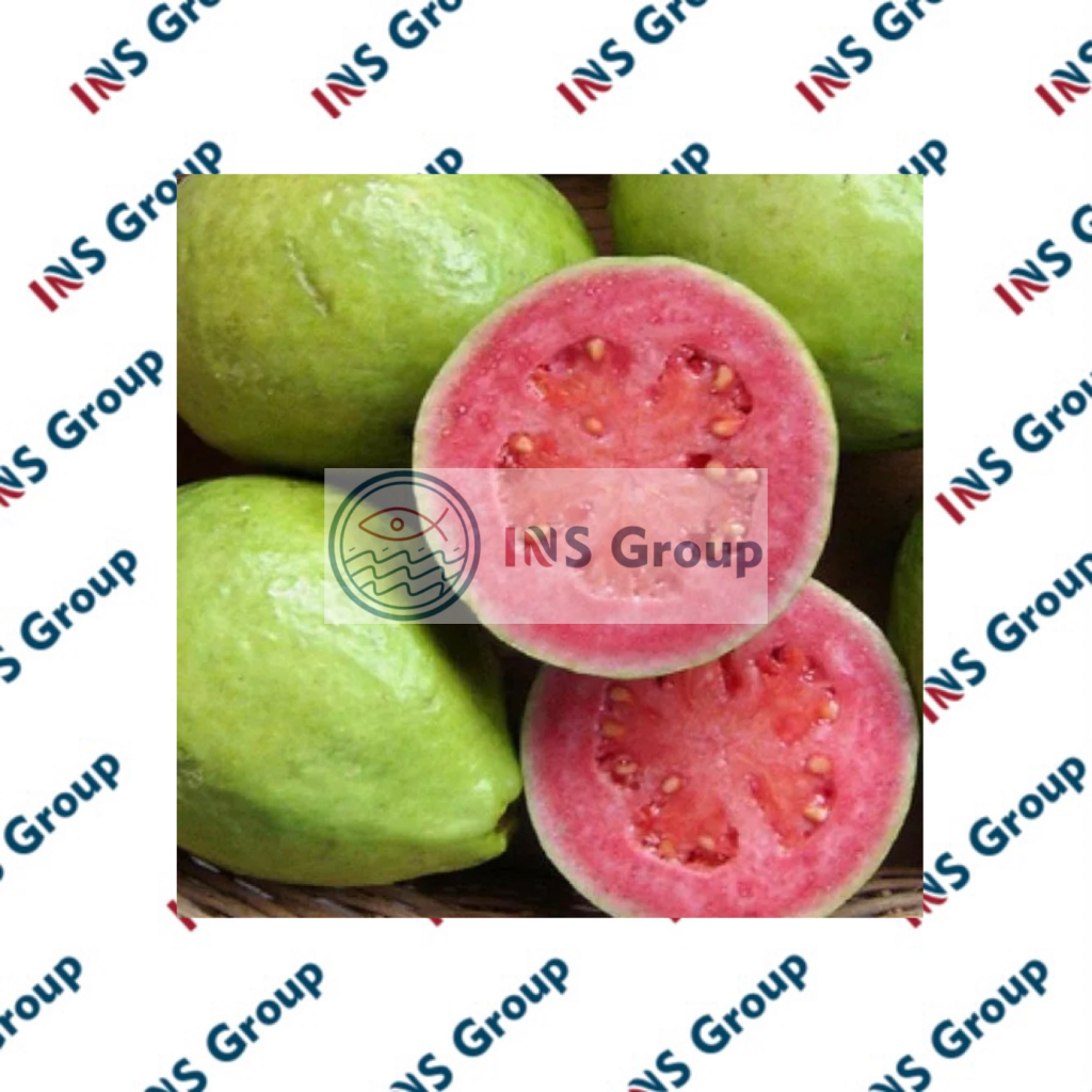 

Jambu Batu 500gr / Jambu Merah