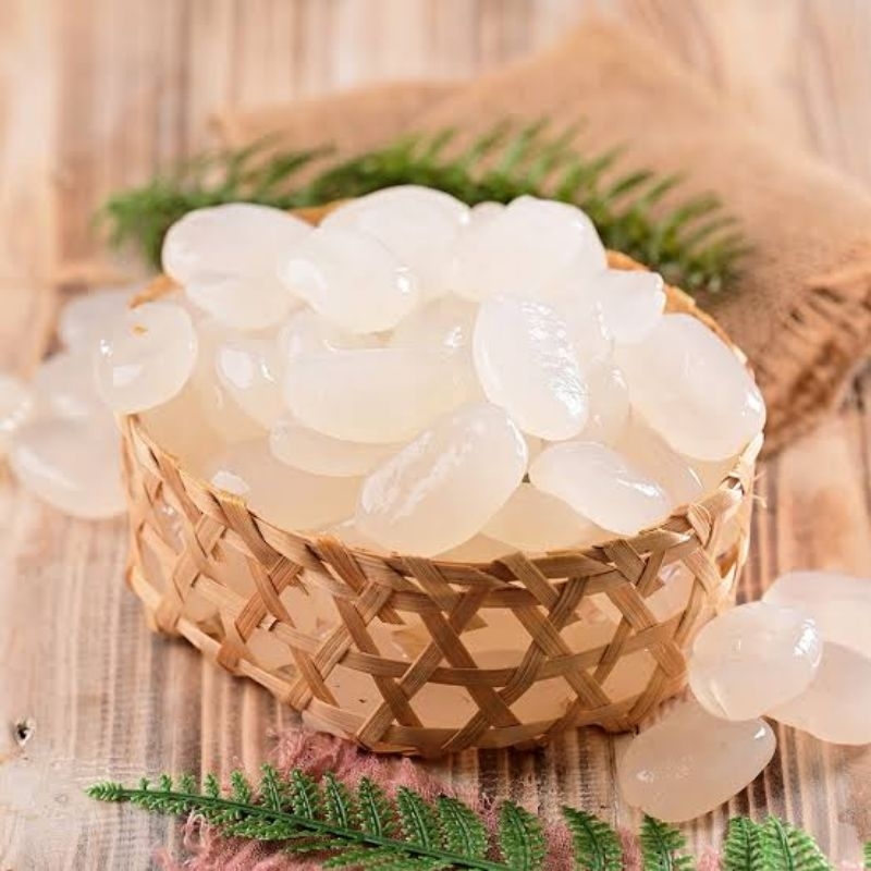 

kolang Kaling premium