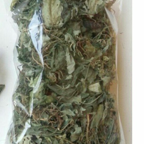 

TERBAIK JAMU DAUN GEMPUR BATU/TUTP BUMI HERBAL -1 KG