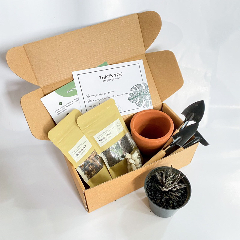 Teracotta Series - Hampers Tanaman kaktus/sukulen - Planting Kit