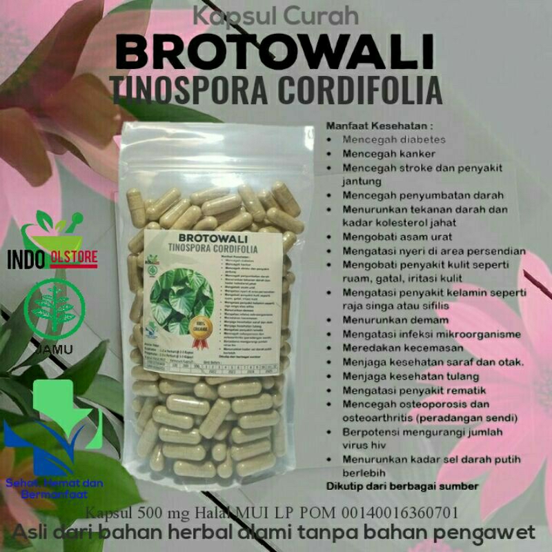 

BROTOWALI 100 KAPSUL OBAT HERBAL TERBAIK TOPP SELLER (PREMIUM QUALITY)