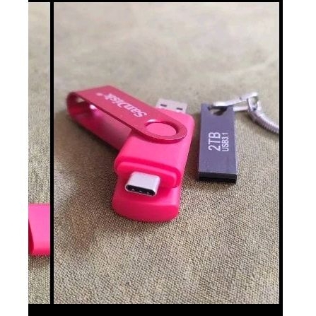 Flashdisk Sandisk 2TB