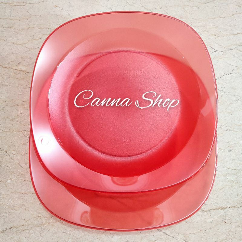 Crystalline Plate (2) Tupperware