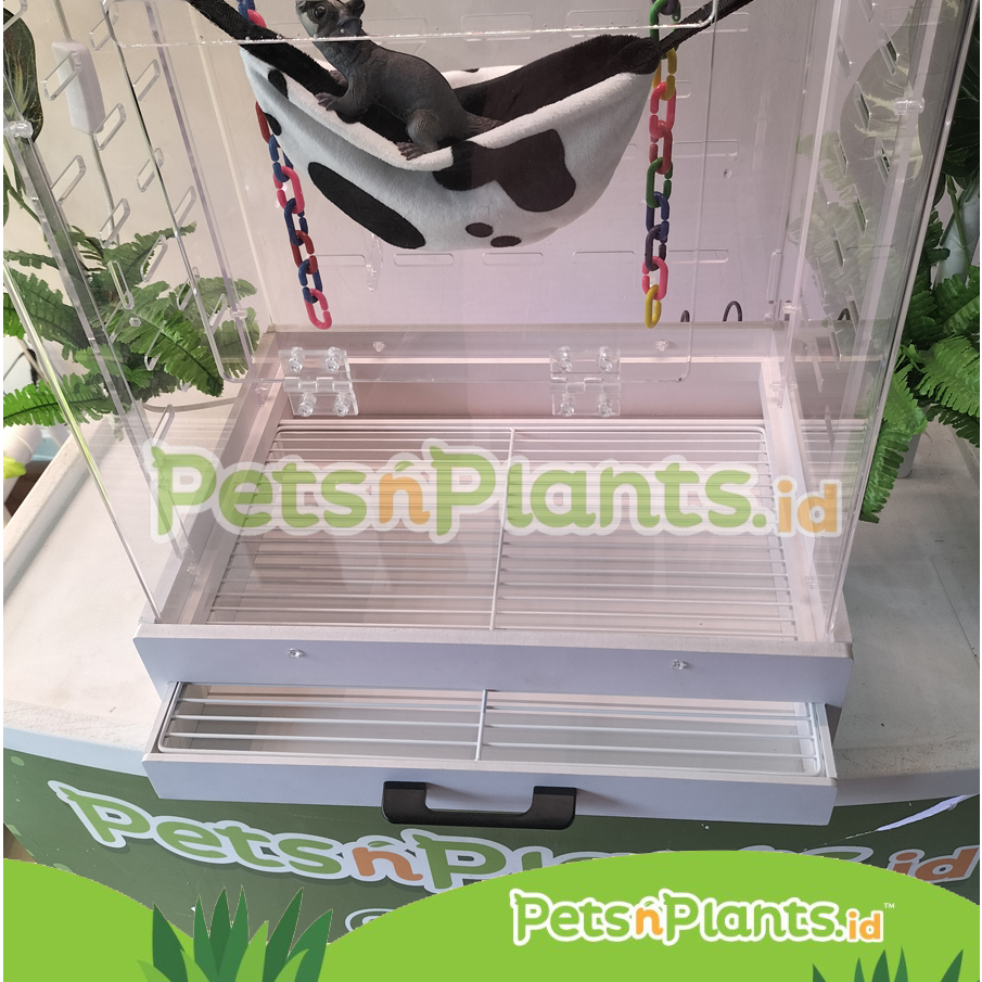 Kandang Akrilik Sugar Glider Import Exclusive SG Crystal Clear Acrylic Cage dengan Laci Kayu Wooden Tray