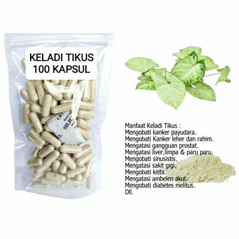 

KELADI TIKUS 100 KAPSUL OBAT HERBAL TERBAIK TOPP SELLER JATIM (PREMIUM QUALITY)