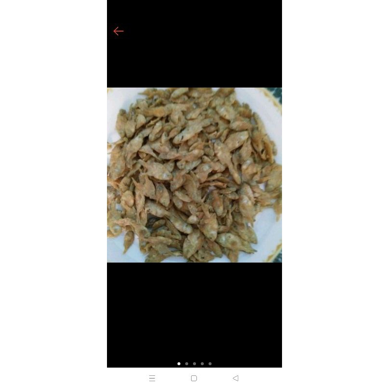 

ikan crispy