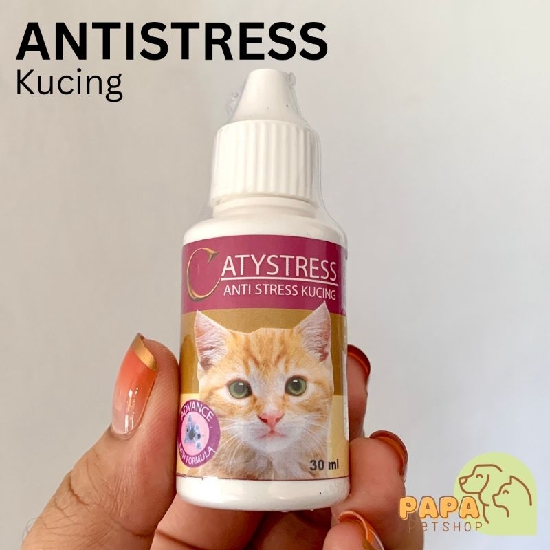 CATYSTRESS - AntiStress Untuk Kucing Dewasa Kitten