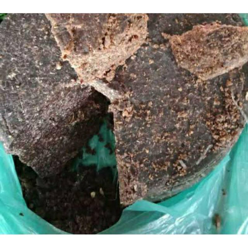 

Patarana/Plik u Khas Aceh 500gr