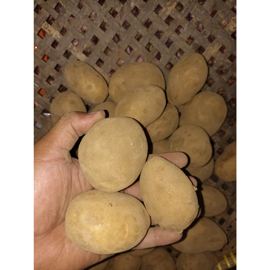 

KENTANG DIENG UKURAN KECIL 1KG