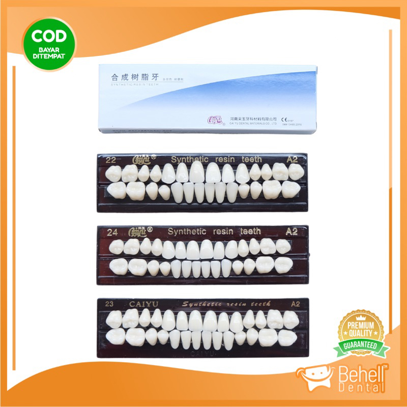 FREE BUBBLE - GIGI PALSU SYNTHETIC RESIN TEETH - Gigi Tiruan Sintetis  Posterior Anterior - Gigi Depan Geraham 1 Set Atas Bawah - Caiyu Dental Acrylic Akrilik