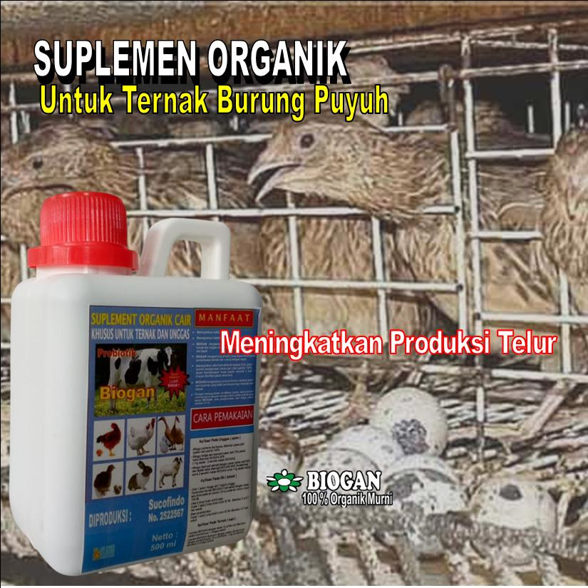 SOC BIOGAN Suplemen Organik Cair Untuk Meningkatkan Produksi Telur Puyuh