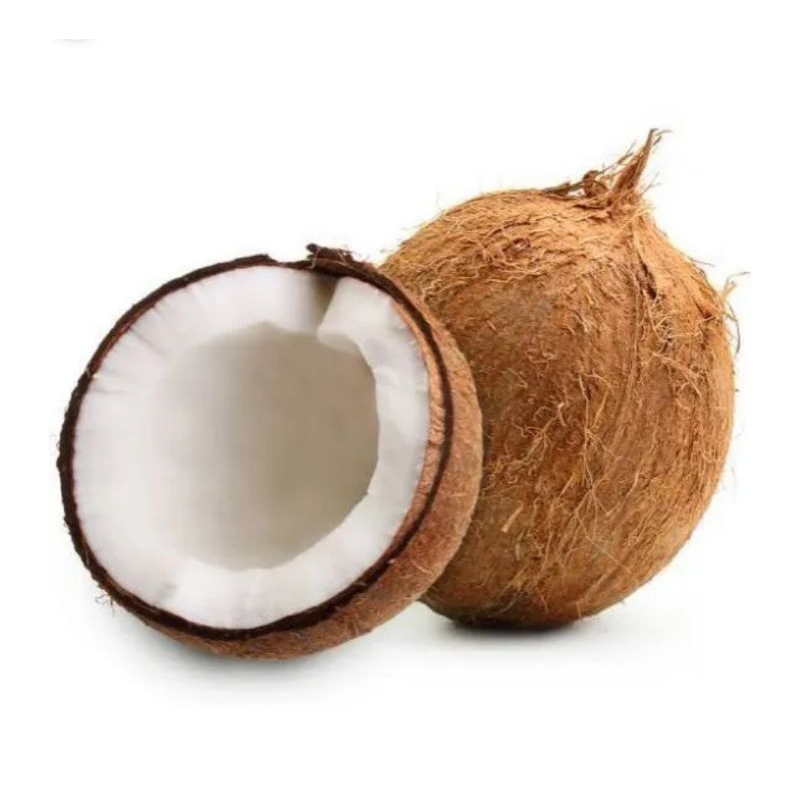 

kelapa bulat utuh 1 buah