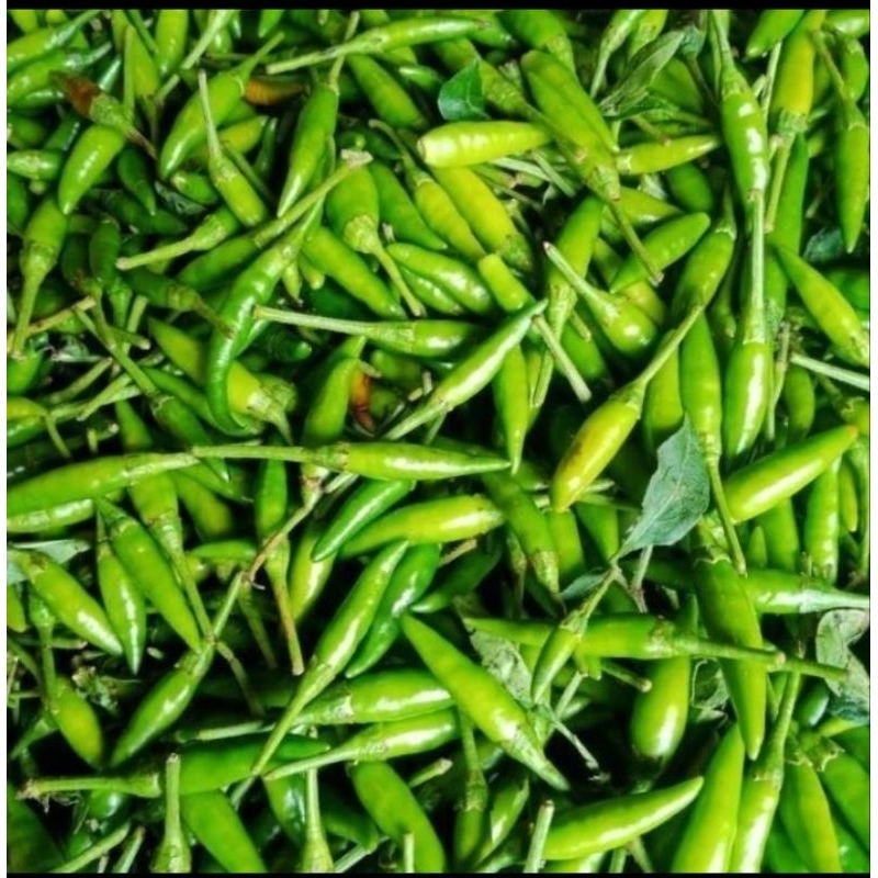 

Cabe Rawit Petik