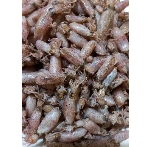 

BABYCUMI MEDAN BABY CUMI PREMIUM 1-2cm 1kg