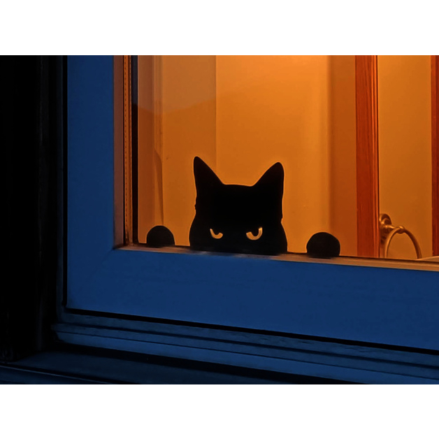 kucing penjaga yang marah