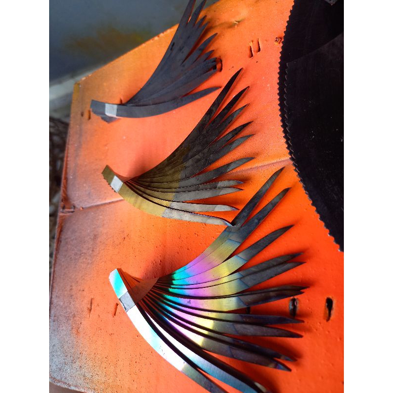 Bahan taji potongan 12pcs (6 karnasch & 6 Supreme)