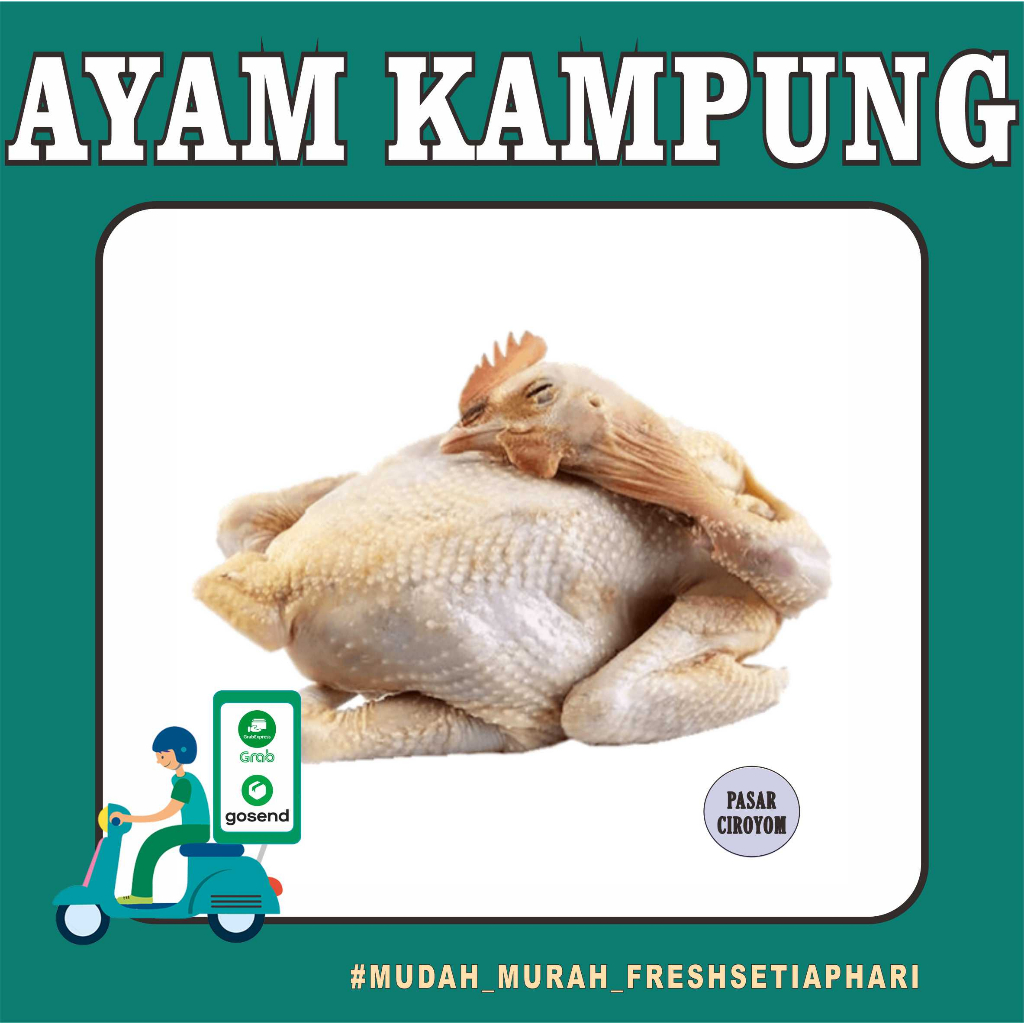 

AYAM KAMPUNG FRESH MURAH BANDUNG / DAGING ONLINE