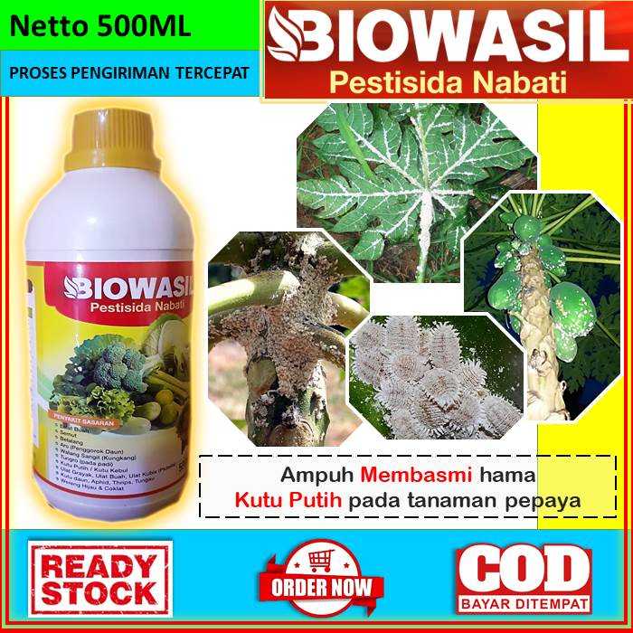 OBAT ANTI HAMA KUTU PUTIH UNTUK TANAMAN PEPAYA [BIOWASIL] Obat Cair Pestisida Nabati Anti Hama 500ml