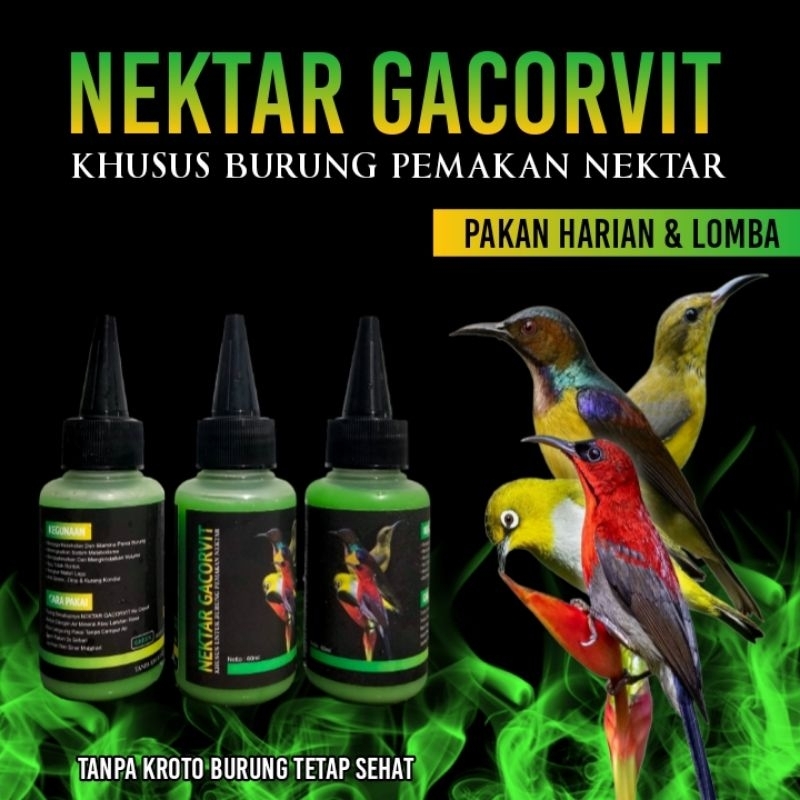 Nektar kolibri pakan harian nektar gacorvit pakan lomba burung pemakan nektar gacorvit