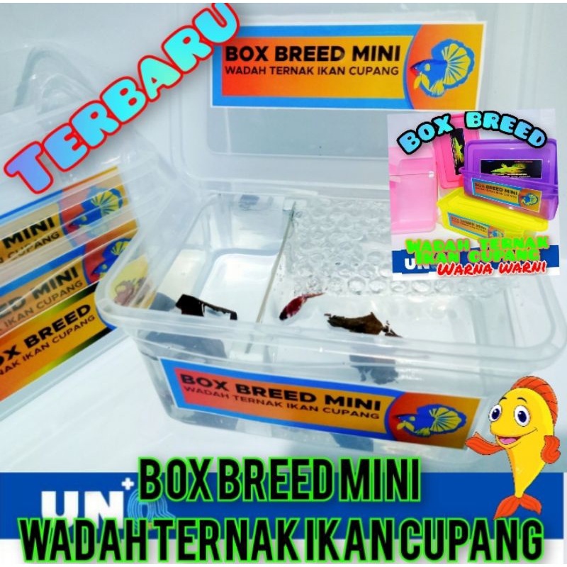 MINI BOX BREED WADAH TERNAK PENJODOHAN IKAN CUPANG