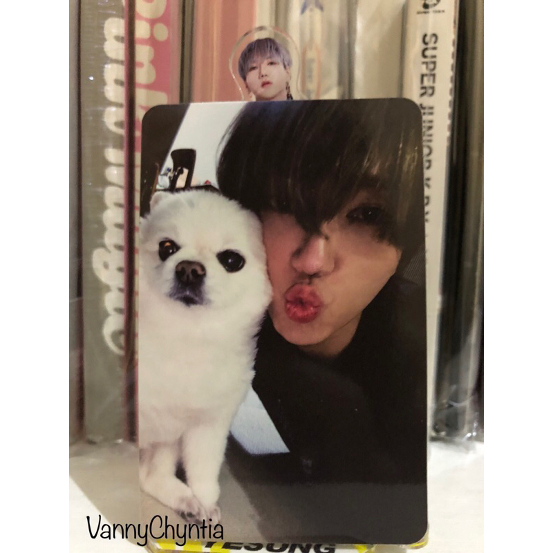 Yesung Photocard - Sensory Flow