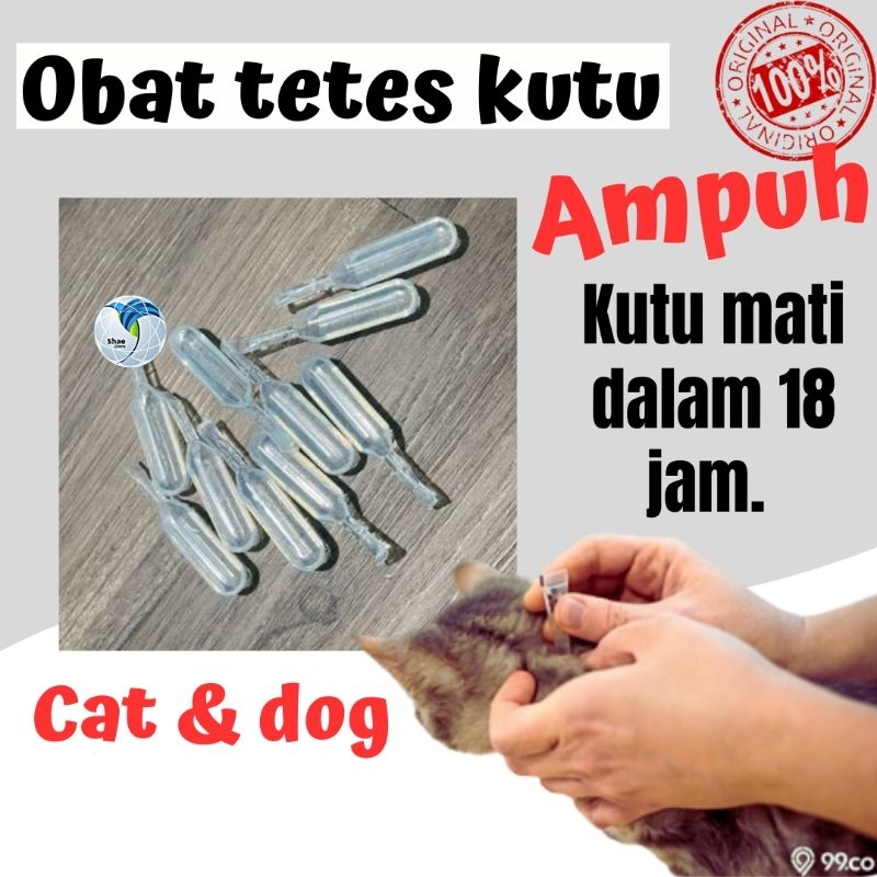 Obat Tetes Kutu 1ml Kutu Mati dalam Hitungan jam Obat Kutu hewan Kucing Anjing Shaestore15