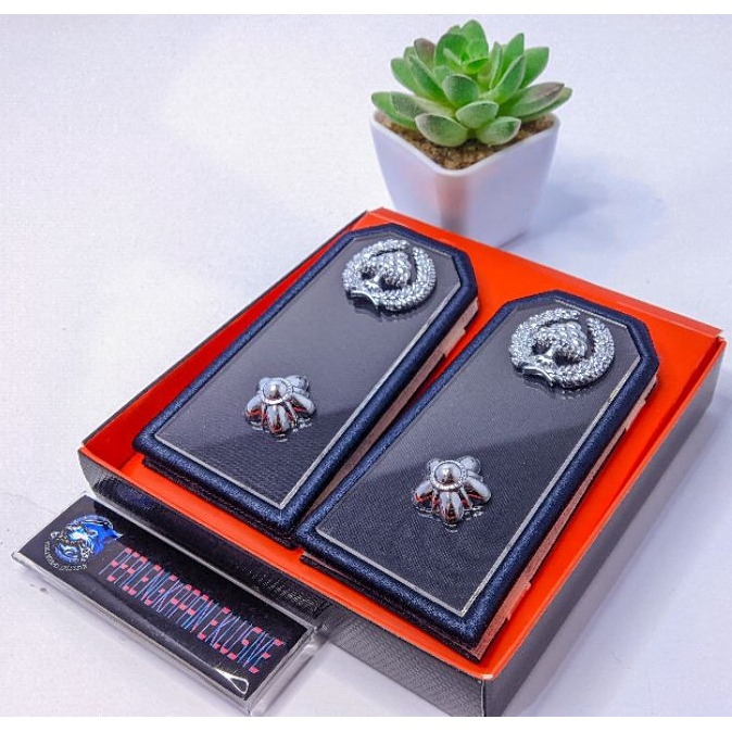 PANGKAT KEPALA DESA - PANGKAT PDU LURAH  - PANGKAT KADES LURAH