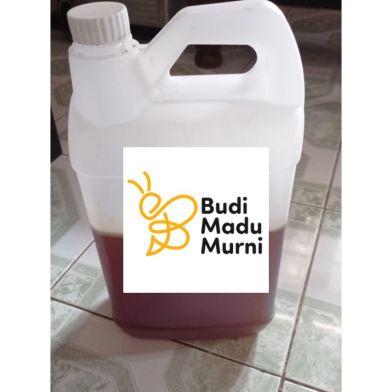 

PAKET USAHA MADU HITAM ASLI MURNI AKASIA CARPA SUPER PREMIUM 100% Alami Pure Natural Raw Honey