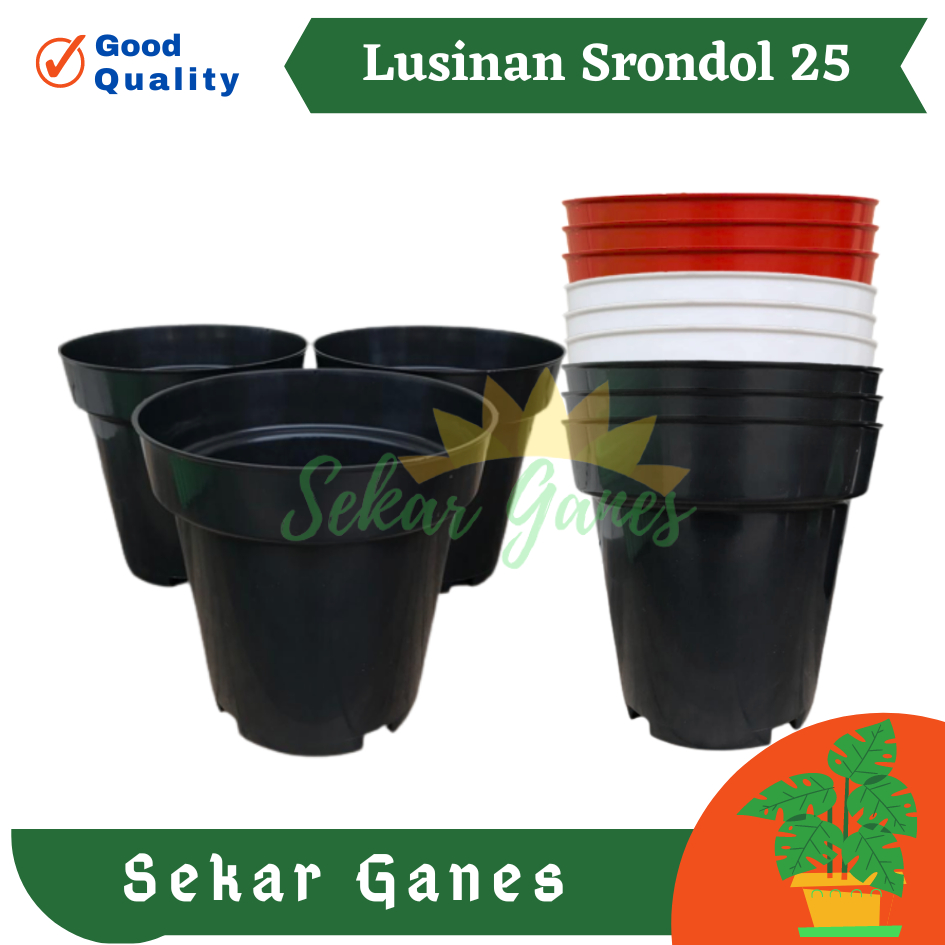 LUSINAN Pot Srondol 25 Bata Hitam Putih  Coklat Pot Tirus Tinggi Plastik 20 25 30 Putih Hitam Besar Tebal Lusinan Pot Eiffel Eifel Efiel Effiel 25